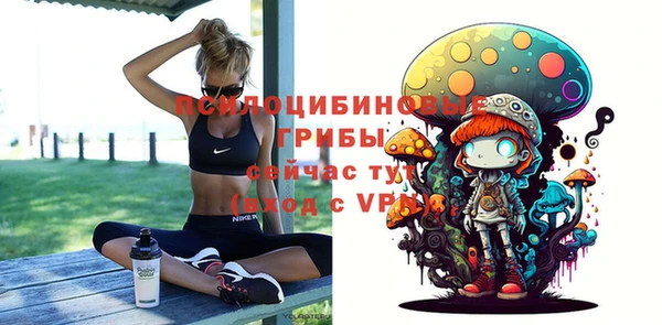 тгк Медвежьегорск
