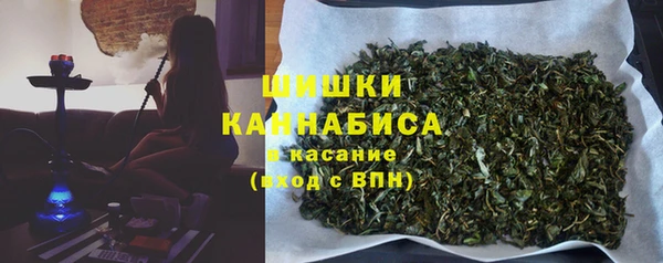 мдпв Медногорск